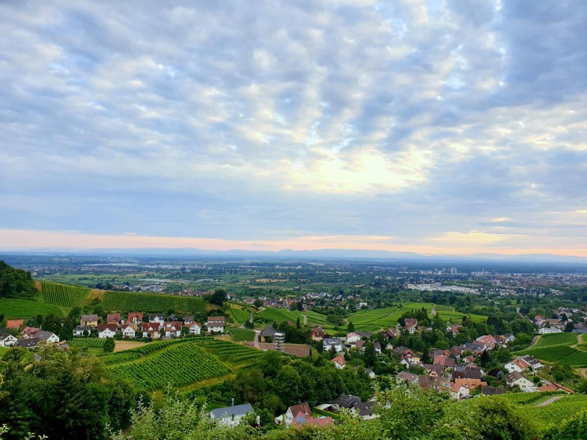 Studio-Apartment Mit Garten, Parkplatz & Kueche Offenburg Eksteriør bilde